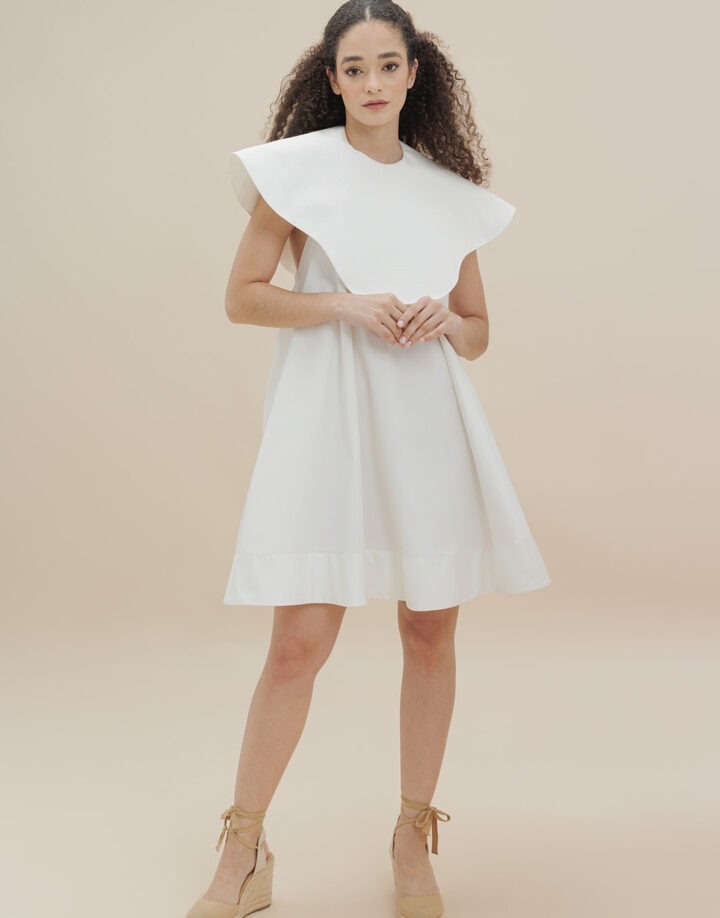 CAONA MINI DRESS